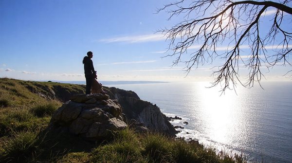 Découvrez des fonds photo éblouissants pour sublimer vos moments